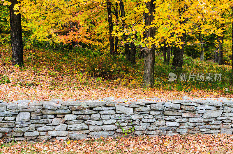 Fieldstone Wall和Fall Forest